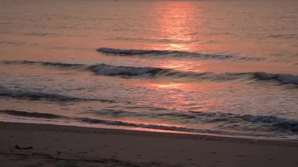 Sea Wave Hit Beach Morning Sunlight — Vídeos de Stock