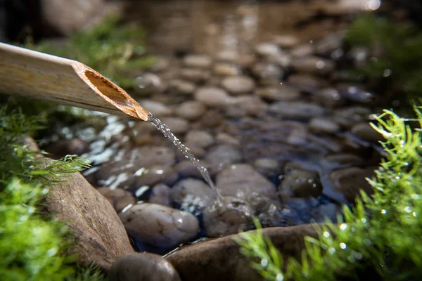 Water Rinsing Bamboo Pipe — Stock Photo, Image