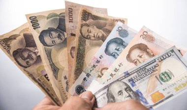 Elde tutulan çeşitli para birimi banknotu