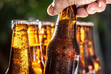 Erkek eli soğuk bira şişesi topluyor.