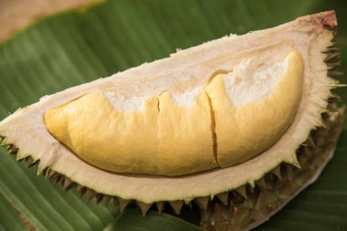 Taze Durian meyvesi muz yaprağının üzerinde duruyordu.