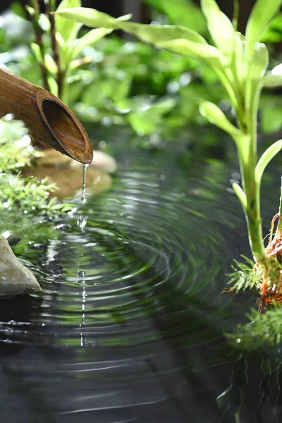 Water Dropping Bamboo Pipe Garden — Stock Photo, Image