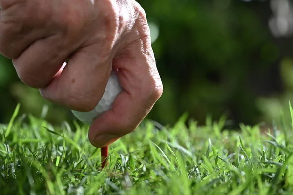 Golfer Hand Putting Golf Ball Tee Grass Yard — Stok Foto