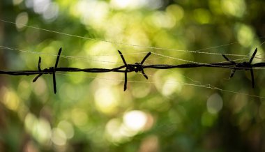 Örümcek ağıyla dikenli teli kapat