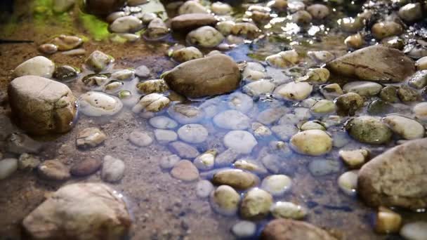 Water Rinse Ins Hallow Canal — Stock video