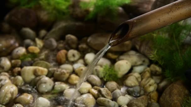 Water Rinsing Bamboo Pipe — Stock Video