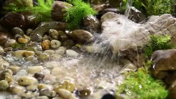 Water Fall Rock Splashing — Stok Video