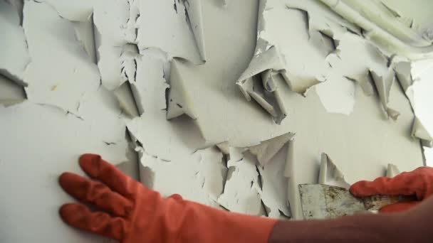 Person Hand Glove Scrape Wall Paint — Video