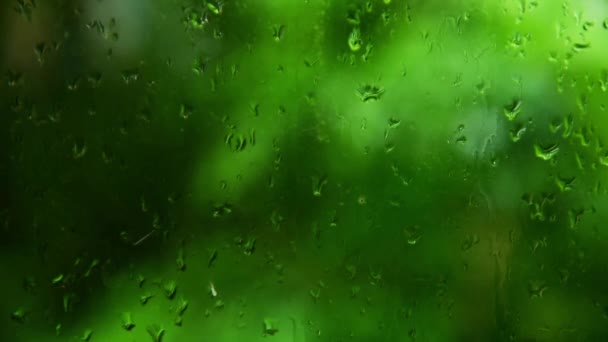 Esőcseppek Üvegablakon — Stock videók
