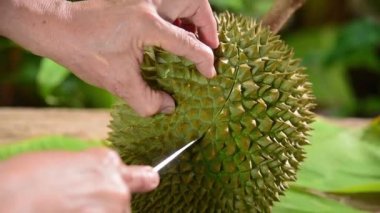 El kullanım bıçağı Durian kabuğunu keser