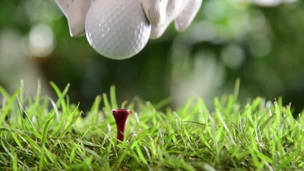 Hand Golf Glove Putting Golf Ball Red Tee Iron Club — Stockvideo
