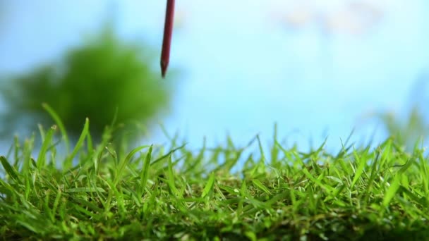 Mano Del Golfista Puso Pelota Golf Con Tee Patio Cristal — Vídeos de Stock