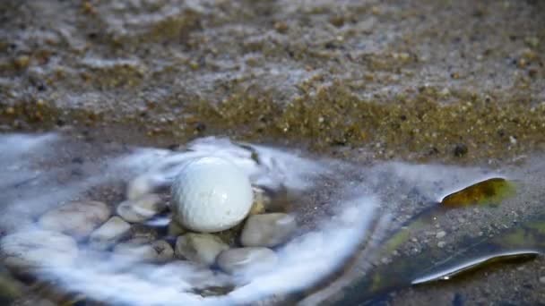 Golf Ball Rolling Water Hazard — Vídeo de Stock