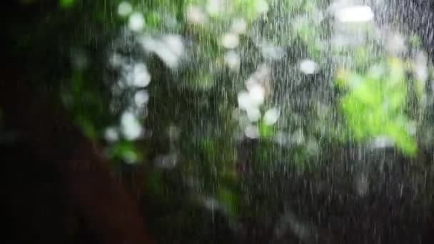 Кадри Дощу Зеленому Саду — стокове відео
