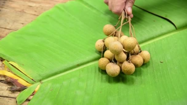 Tuinier Leggen Longan Fruit Tak Bananenblad — Stockvideo