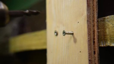 Yakın çekim elektrikli tornavida vidayı tahta levhaya sokuyor.