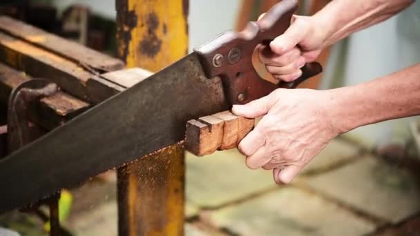 Carpenter Using Hand Saw Cut Wood — Stock Video