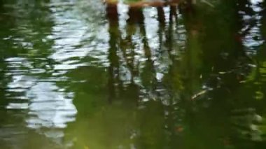 Yağmur damlaları arasında su yüzeyi