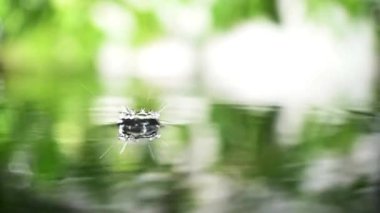 Su yüzeyine düşen su damlaları