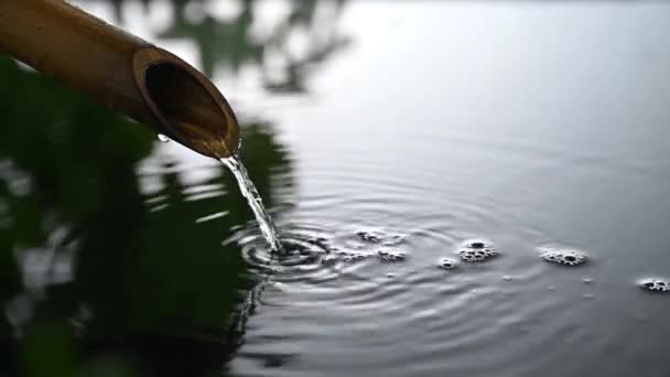 Air Mengalir Dari Pipa Bambu Dalam Kolam — Stok Video