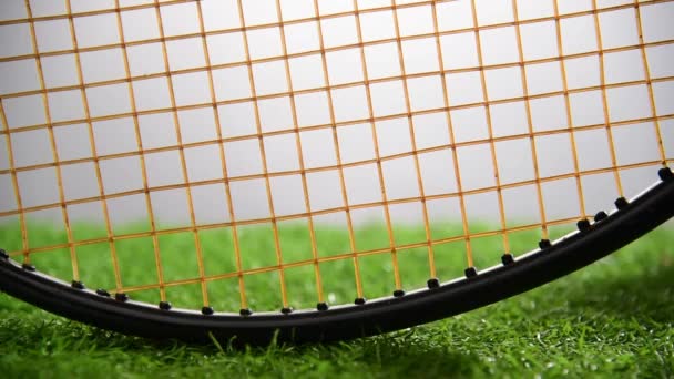 人工芝コートにボール付きテニスラケット — ストック動画