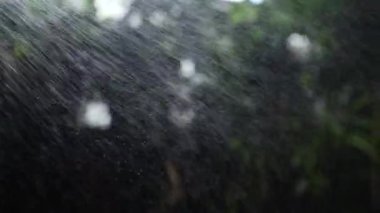 Şiddetli rüzgârlı yeşil bahçe parkında yağmur yağıyor.