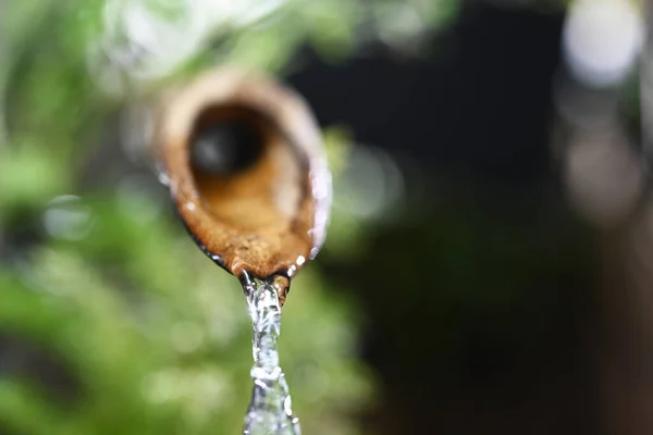 Water Rinsing Bamboo Pipe — Stock Photo, Image