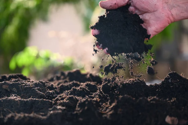 Farmer Checks Soil Condition Gardening — Fotografie, imagine de stoc