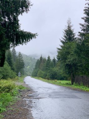 dağlarda ıslak yol