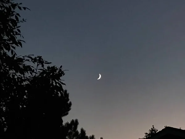 地平線で活発な夜に黄金の太陽を追いかける秋の月 — ストック写真