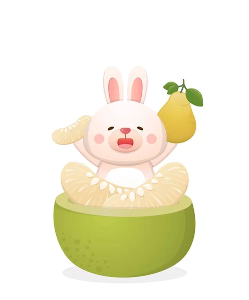 Niedliche Hasenmaskottchen Figur Mit Pomelo Traditionelles Fest China Und Taiwan — Stockvektor