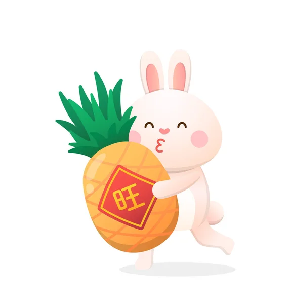 可爱的兔子字符或吉祥物 中文新年 菠萝带来好运 矢量漫画风格 中文翻译 — 图库矢量图片