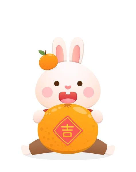 Roztomilý Králičí Charakter Nebo Maskot Mandarinkou Čínský Lunární Novoroční Prvky — Stockový vektor