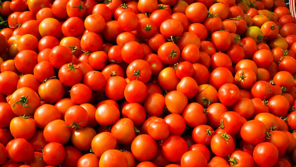 Tomato isolate. Tomato on white background. Tomatoes top view, side view.