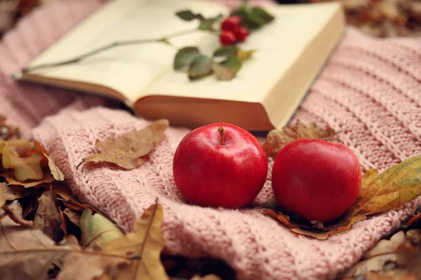 Aesthetics of autumn. A mug of tea, rosehip branches, apples, grapes, a book, on a knitted plaid against a background of yellow leaves.