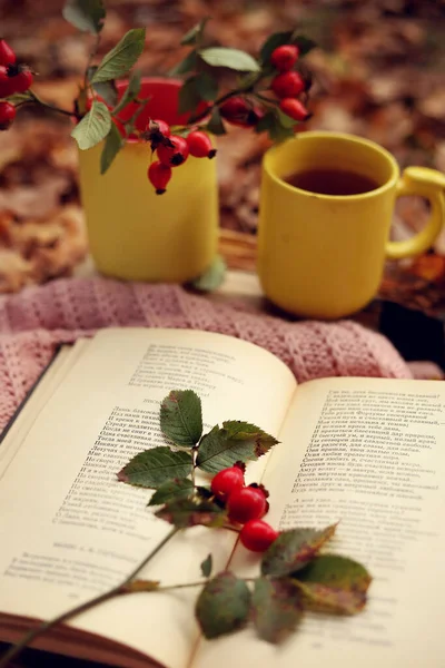 Aesthetics of autumn. A mug of tea, rosehip branches, apples, grapes, a book, on a knitted plaid against a background of yellow leaves.
