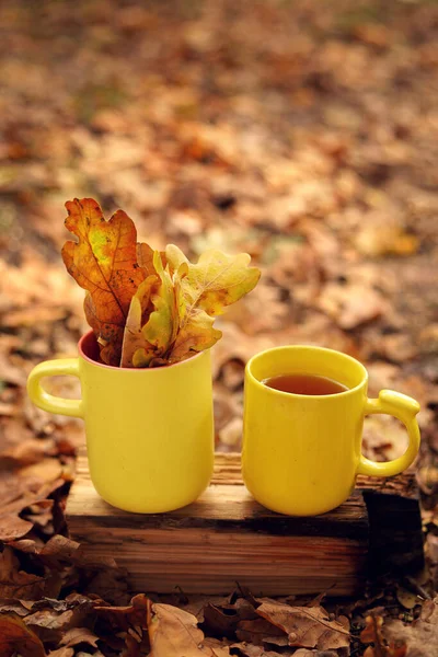 Aesthetics of autumn. Yellow mugs with tea and yellow leaves stand on a tree against the background of fallen yellow leaves.
