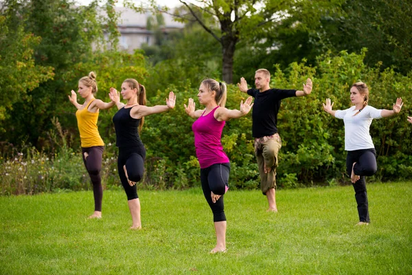 Yoga Naturaleza Hace Ejercicio Equilibrio —  Fotos de Stock