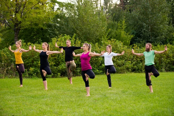 Yoga Naturaleza Hace Ejercicio Equilibrio —  Fotos de Stock