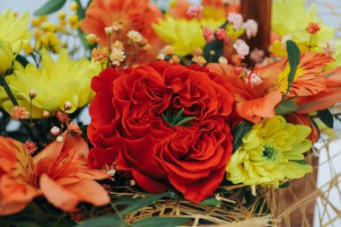 Kasımpatı buketi şakayık gül ve alstroemeria ağaçtan bir hediye kutusunda gri bir arka planda. Kırmızı, turuncu ve sarı renkte. Yaklaş.