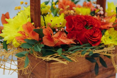 Kasımpatı buketi şakayık gül ve alstroemeria ağaçtan bir hediye kutusunda gri bir arka planda. Kırmızı, turuncu ve sarı renkte. Yaklaş.