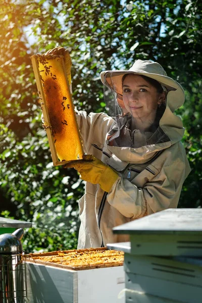 Jeune Apiculteur Femelle Tenir Cadre Bois Avec Nid Abeille Ramasse — Photo