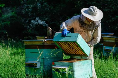Beekeeper working collect honey. Beekeeping concept. Farmer wearing bee suit working with honeycomb in apiary. Organic farming. Copy-space