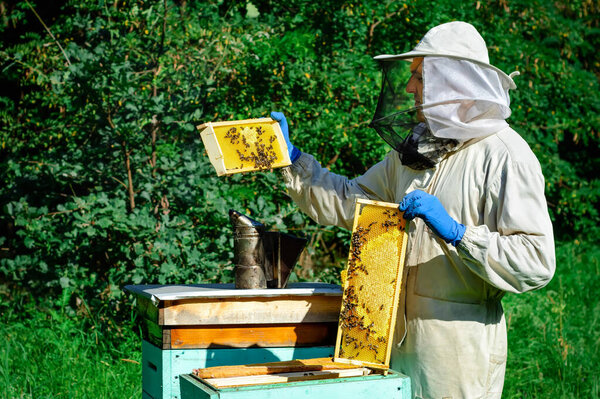 Beekeeper working collect honey. Beekeeping concept. Farmer wearing bee suit working with honeycomb in apiary. Organic farming. Copy-space