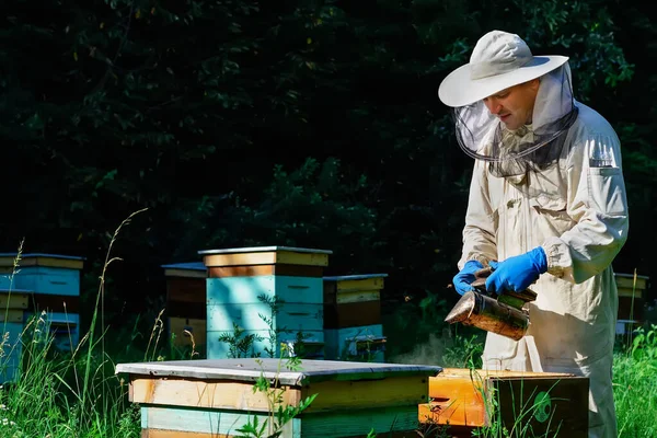 Beekeeper Working Collect Honey Beekeeping Concept Farmer Wearing Bee Suit — 스톡 사진