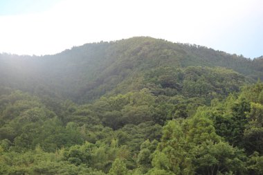 Dağlarda yeşil ağaçlar olan manzara