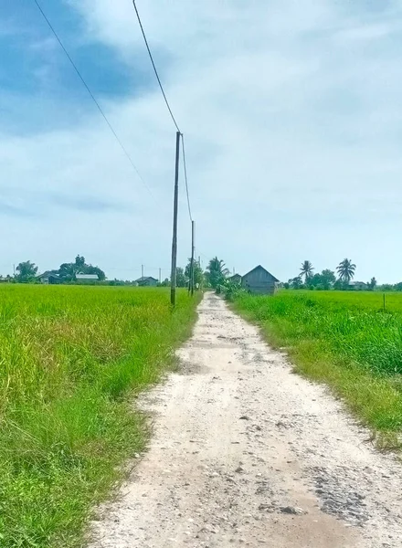 Köyün atmosferi çok doğal. Güzel manzarası var.