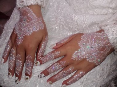 Kış ormanlarında beyaz bir geçmişi olan alyanslar.