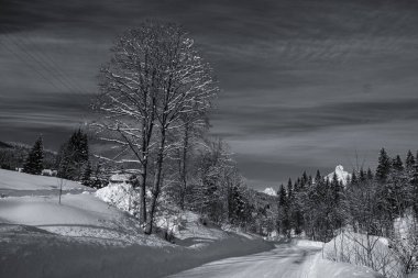 Alplerde, Avusturya 'da, Seefeld' de kış manzarası. Kar, kışın vadileri ve dağları kaplamıştı. Rahatlamak için rüya gibi yerler. Siyah beyaz da güzel..
