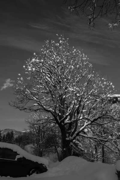 Winter landscape in the Alps, Austria, Seefeld. Snow covered valleys and mountains in winter - dreamlike places to relax. Also beautiful in black and white.